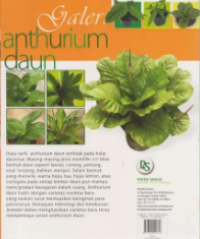 Image of Galeri Anthurium Daun