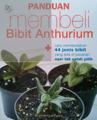 Image of Panduan Membeli Bibit Anthurium